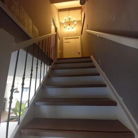 Feriehus Mooie Familie Groepsaccomodatie Aan De Bosrand *