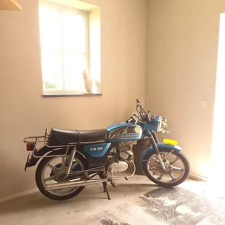 Mooie Familie Groepsaccomodatie Aan De Bosrand Feriehus Overloon