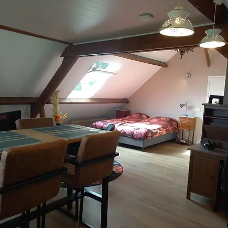 Mooie Familie Groepsaccomodatie Aan De Bosrand Feriehus