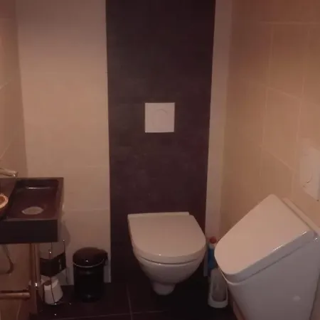 Mooie Familie Groepsaccomodatie Aan De Bosrand Overloon