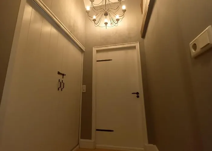 Dom wakacyjny Mooie Familie Groepsaccomodatie Aan De Bosrand Overloon