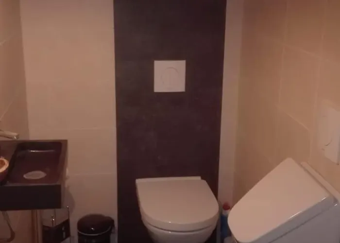 Mooie Familie Groepsaccomodatie Aan De Bosrand Overloon