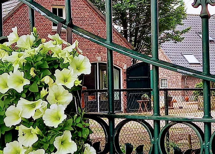 Dom wakacyjny Mooie Familie Groepsaccomodatie Aan De Bosrand